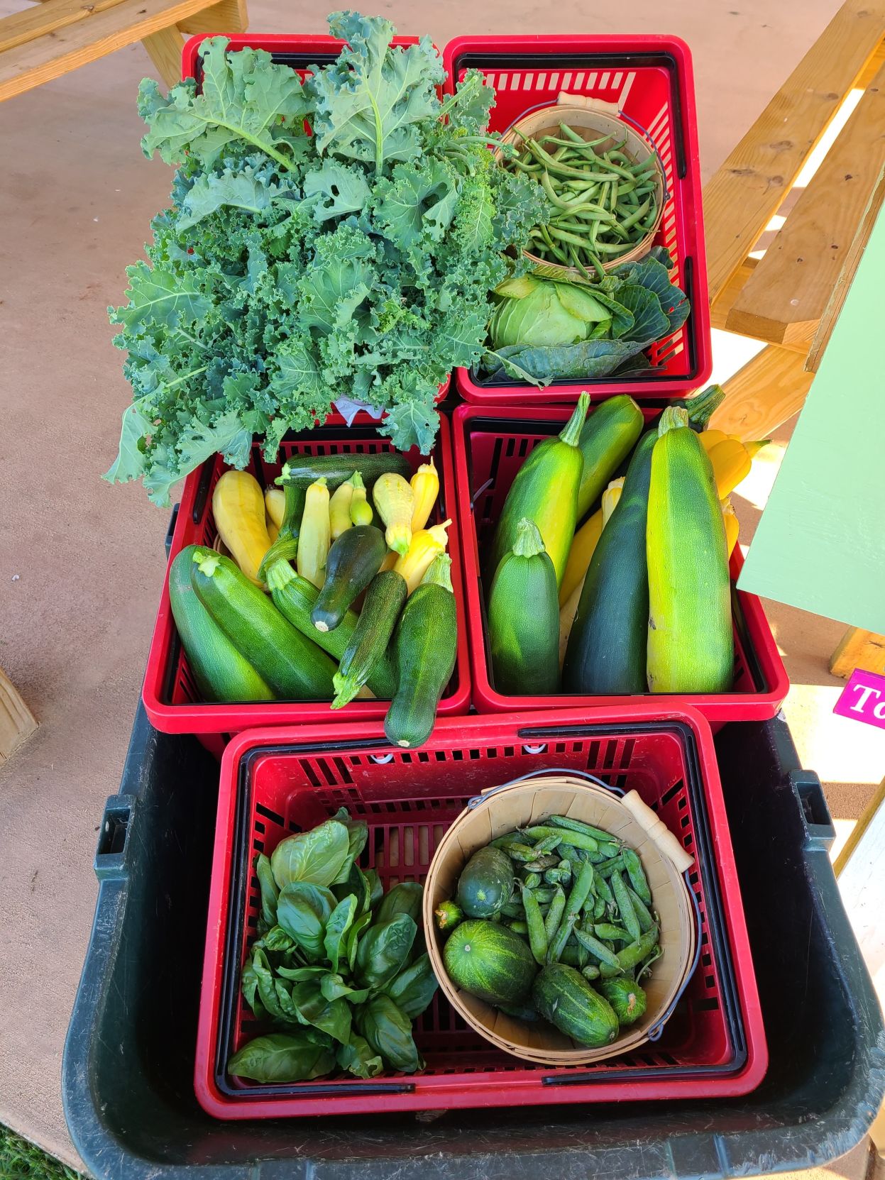 little free veggies